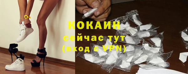 шишки Архангельск