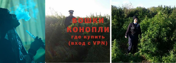 тгк Нижний Тагил