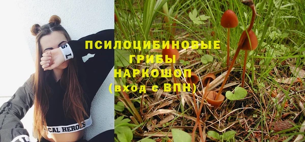 гашиш Каменка